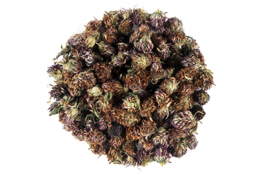 Caj Terfil i kuq (Trifolium pratense) 40 g