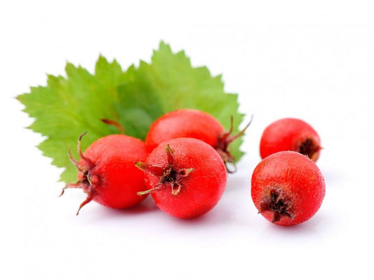 Crataegus monogyna / Caj Frut Murrizi 100 g